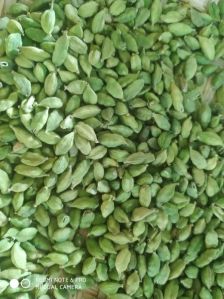 Green Cardamom