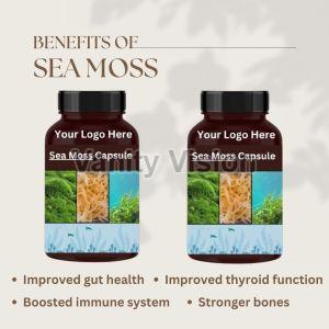 Sea Moss Capsules