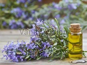 Rose Marry Essential Oil