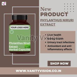 Phylanthus Niruri Extract Herbal Capsules