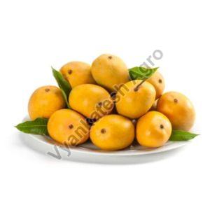 devgad alphonso mango