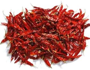 guntur dried red chilli