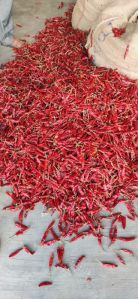 red chilli whole