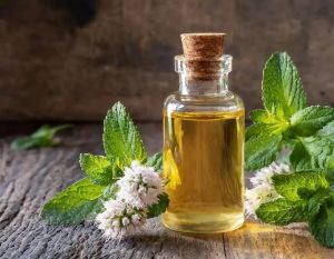 Peppermint Essential Oil