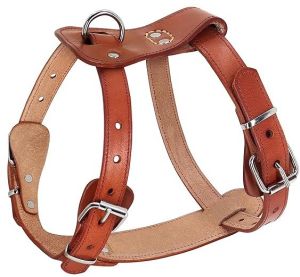 dog neck belts