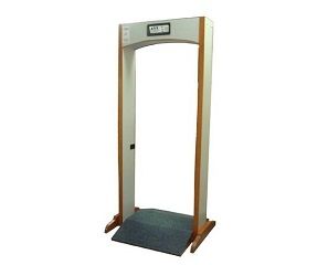 Door Frame Metal Detector