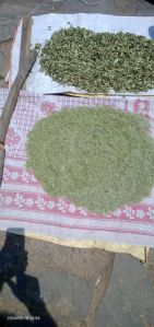 Garlic Stem powder