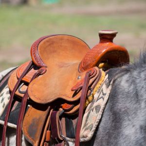 Saddle