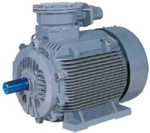 Induction Motor