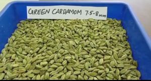 Green Cardamom