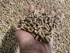 Biomass wood pellet 6mm