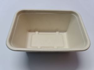 Bagasse Rectangular Food Container