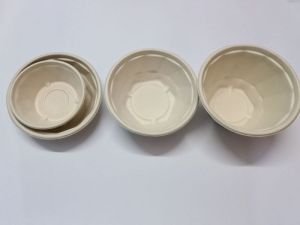 Bagasse Take Away Food Bowl