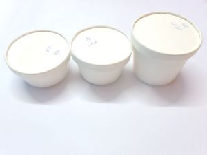 Bagasse Takeaway Food Containers with Lid