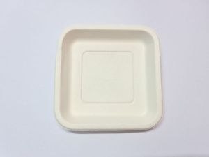 Square White Bagasse Plate