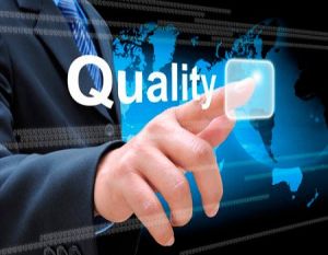 quality consultant