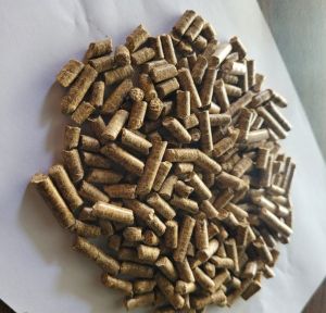 Biomass Pellet