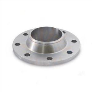 Stainless Steel Forging