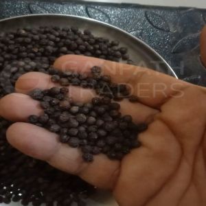 Black Pepper Seeds