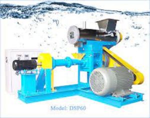 Fish Feed Extruder