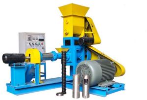 Fish Feed Extruder