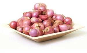 Fresh Shallots Onion