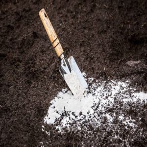 Dolomite Powder