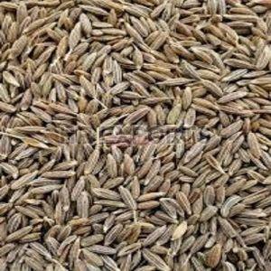 Cumin Seeds