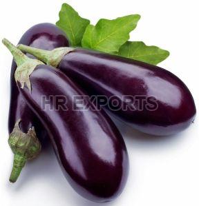 Fresh Brinjal