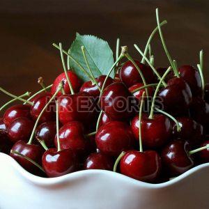 Fresh Cherry