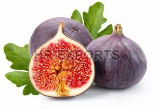 Fresh Fig