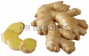 Fresh Ginger