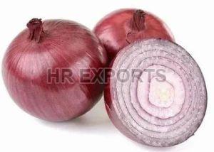 Fresh Onion