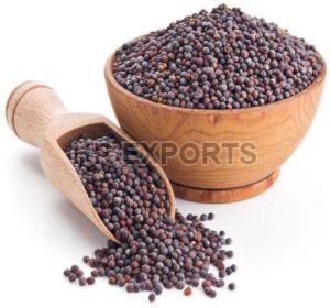 Mustard Seeds