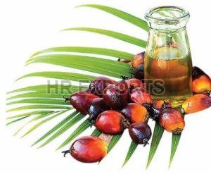 Palm Oil