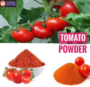 dried tomato powder