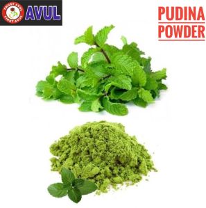 mint leaf powder