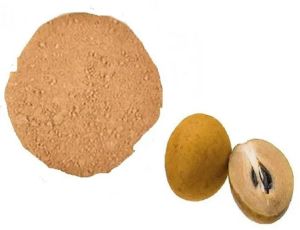 Chikoo Powder