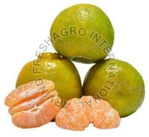 Fresh Orange