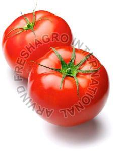 Fresh Tomato