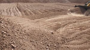 Industrial Bentonite Powder