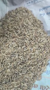 Cumin Seeds