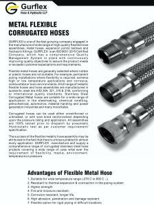 S.S. Corrugated Hoses