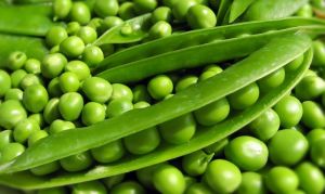 Fresh Green Peas