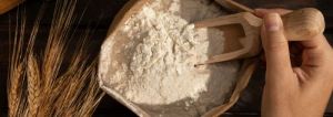 Wheat Flour