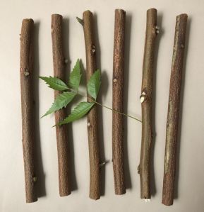 Neem Sticks