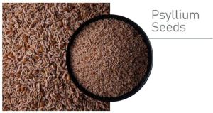 Psyllium Seeds