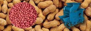Groundnut Decorticator Machine