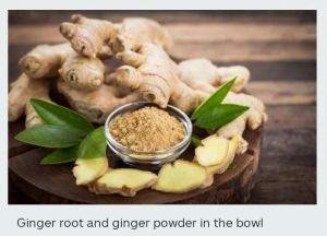 Dry Ginger Extract