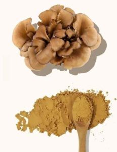 Maitake Mushroom Extract Powder